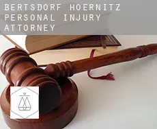 Bertsdorf-Hörnitz  personal injury attorney