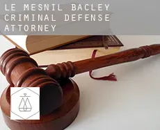 Le Mesnil-Bacley criminal defense attorney