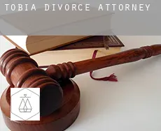 Tobía  divorce attorney