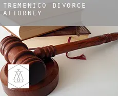 Tremenico divorce attorney