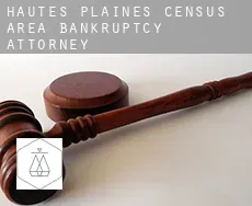 Hautes-Plaines (census area)  bankruptcy attorney