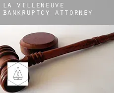 La Villeneuve  bankruptcy attorney