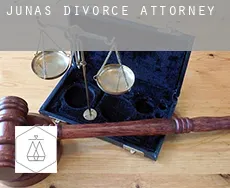 Junas  divorce attorney