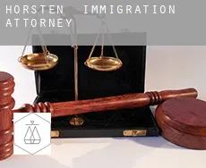 Hörsten  immigration attorney