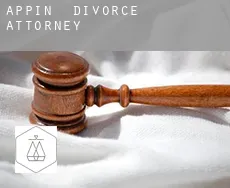 Appin divorce attorney