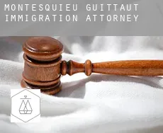 Montesquieu-Guittaut  immigration attorney