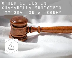 Other cities in Guayanilla Municipio  immigration attorney