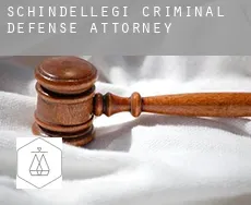 Schindellegi  criminal defense attorney