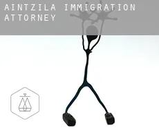Aincille  immigration attorney