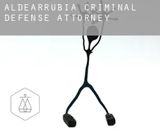 Aldearrubia  criminal defense attorney