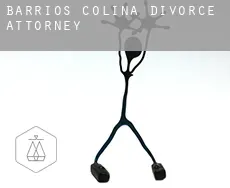 Barrios de Colina  divorce attorney
