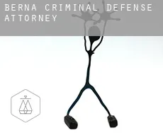 Berne  criminal defense attorney