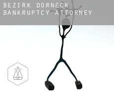 Bezirk Dorneck  bankruptcy attorney