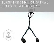 Blankenried  criminal defense attorney