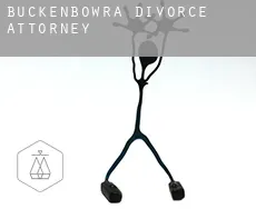 Buckenbowra  divorce attorney