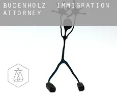 Büdenholz  immigration attorney