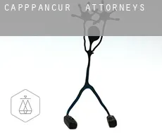 Capppancur  attorneys