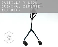Castille and León  criminal defense attorney