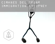 Cimanes del Tejar  immigration attorney