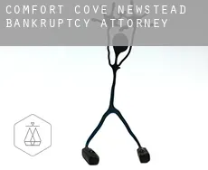 Comfort Cove-Newstead  bankruptcy attorney