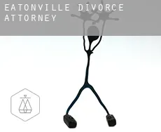 Eatonville divorce attorney