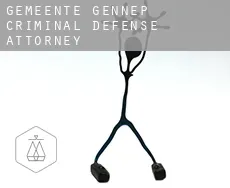 Gemeente Gennep  criminal defense attorney