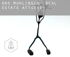 Groß Mühlingen  real estate attorney