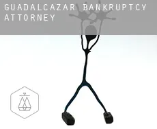 Guadalcázar  bankruptcy attorney