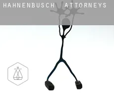 Hahnenbusch  attorneys