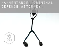 Hahnentange  criminal defense attorney
