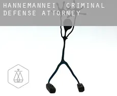 Hannemannei  criminal defense attorney
