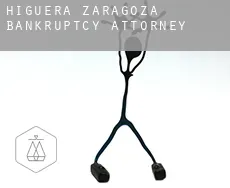 Higuera de Zaragoza bankruptcy attorney