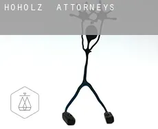 Hoholz attorneys