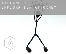 Kaplaneihof  immigration attorney