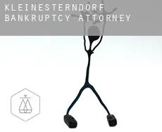 Kleinesterndorf  bankruptcy attorney