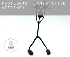Kostebrau  immigration attorney