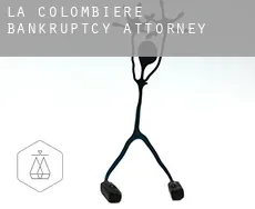 La Colombière  bankruptcy attorney