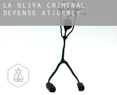 La Oliva  criminal defense attorney