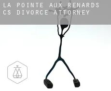 Pointe-aux-Renards (census area)  divorce attorney