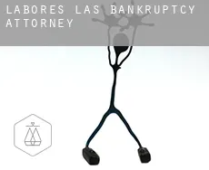Labores (Las)  bankruptcy attorney