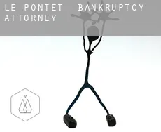 Le Pontet  bankruptcy attorney