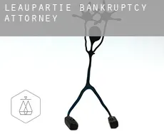 Léaupartie  bankruptcy attorney