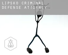 Lipsko criminal defense attorney