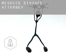 Mesocco  divorce attorney