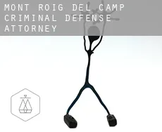 Mont-roig del Camp  criminal defense attorney