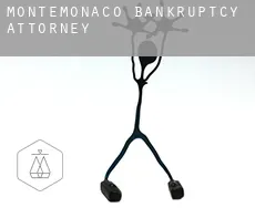 Montemonaco  bankruptcy attorney