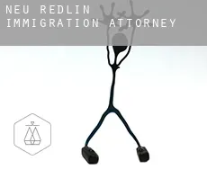 Neu Redlin immigration attorney