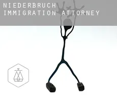 Niederbruch  immigration attorney