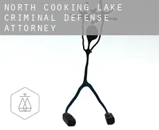 North Cooking Lake  criminal defense attorney