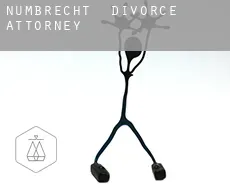 Nümbrecht  divorce attorney